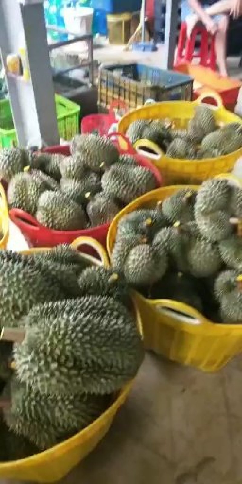 一级金枕榴莲小果单个2公斤以内