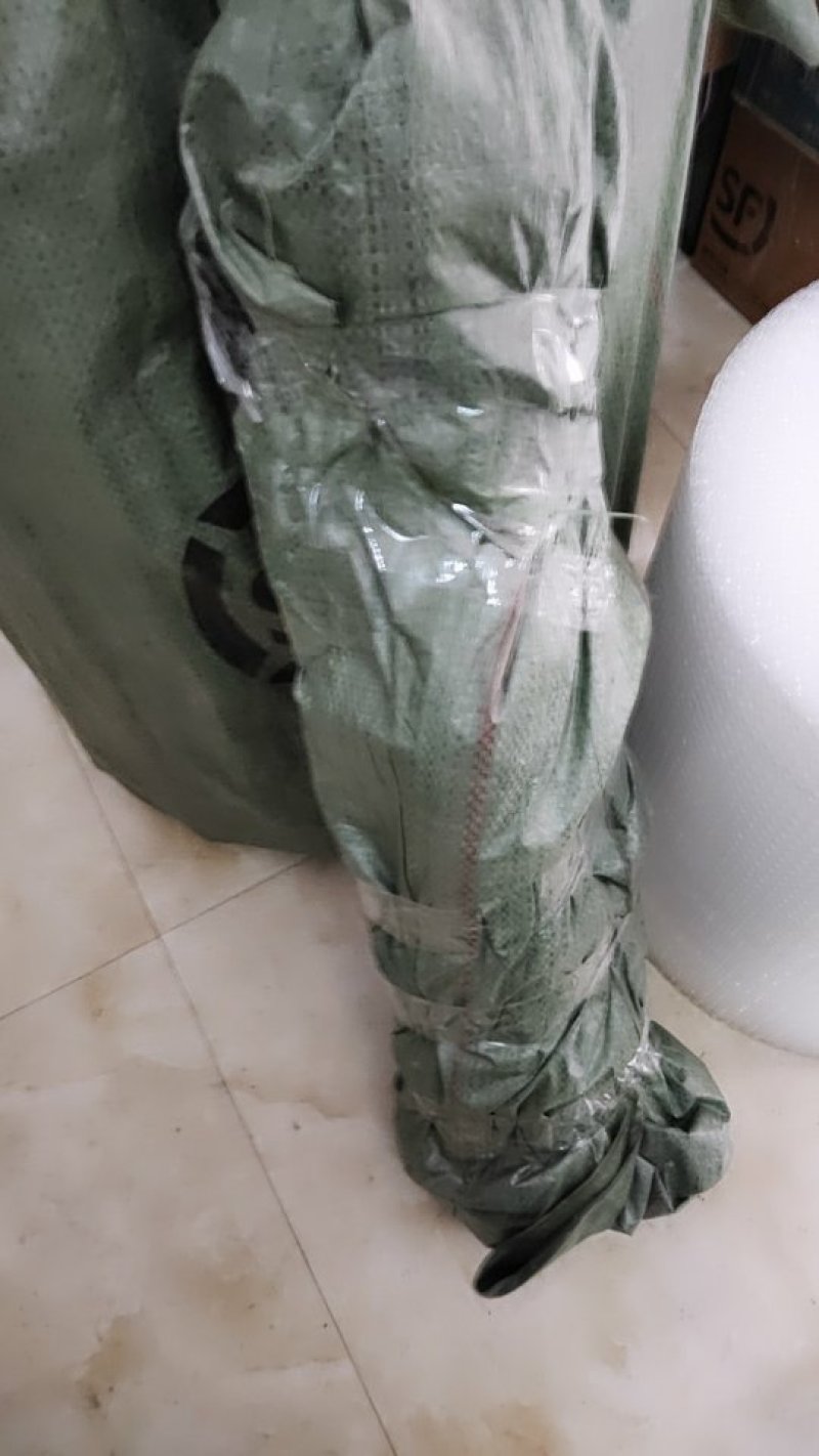 李树苗脆红李早蜜李苗早熟丰产性强易管理效益好