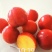 李树苗脆红李早蜜李苗早熟丰产性强易管理效益好