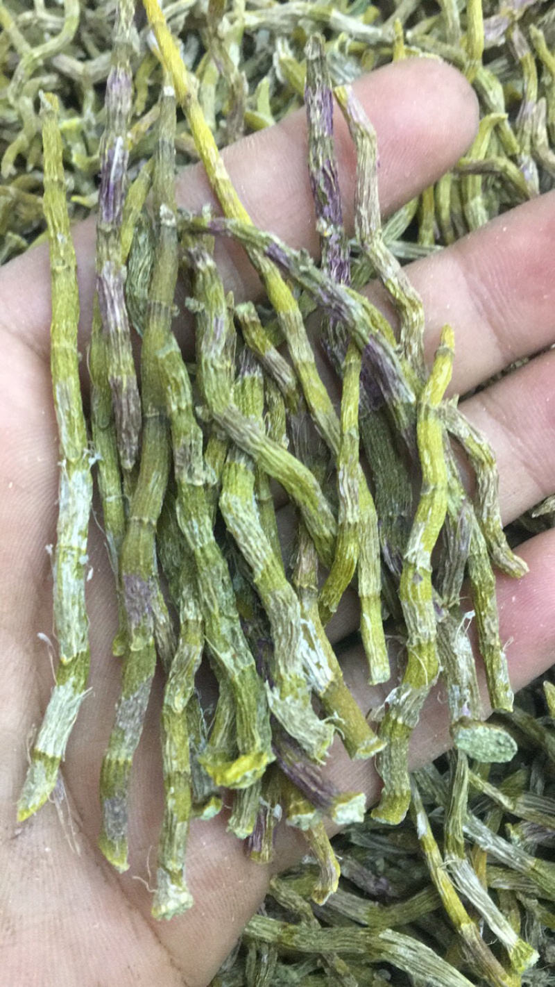 《爆胶》铁皮石斛短粗芽尖干条石斛中的精品