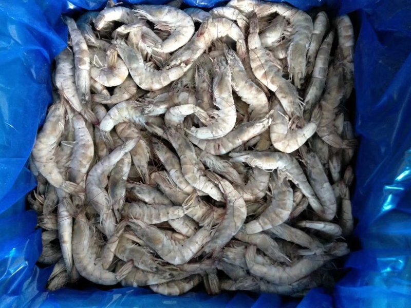 海水虾大小规格均有货鲜活发货