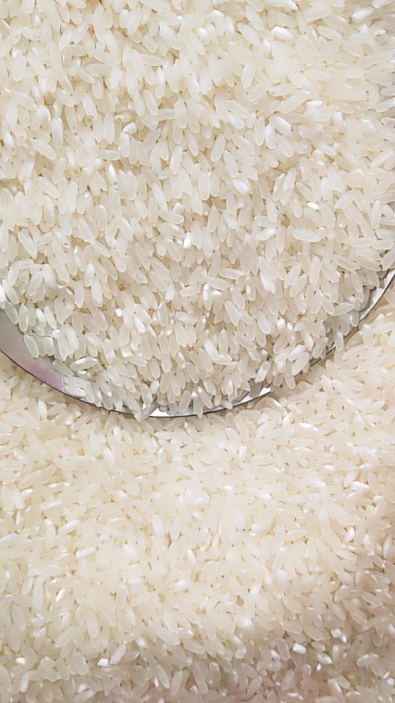 韩国进口鲜米机250R现场磨稻谷现场