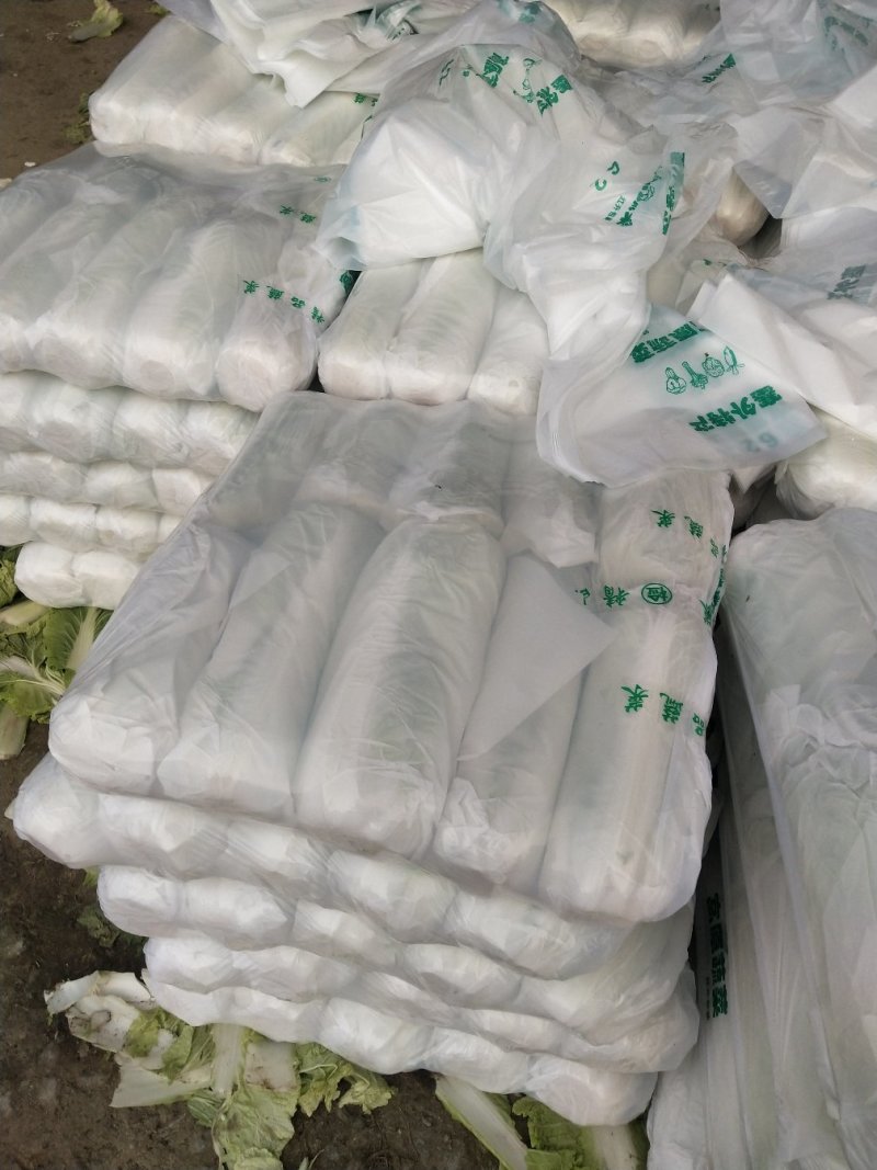 北京三号白菜，精品包纸大量供应，产地直发