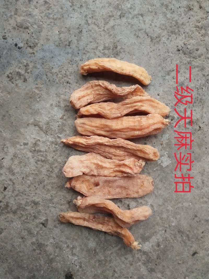 包邮秦岭林下纯野乌红天麻药效浓色靓货干老店【代磨粉切片】