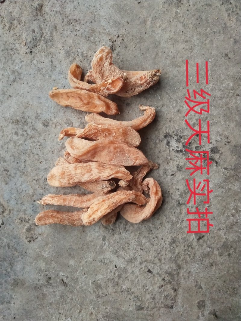包邮秦岭林下纯野乌红天麻药效浓色靓货干老店【代磨粉切片】