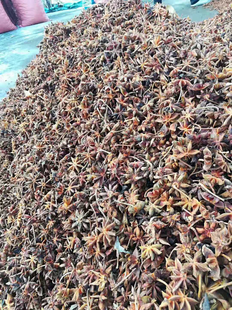大红八角干枝一级果无硫足干成色好产地货源