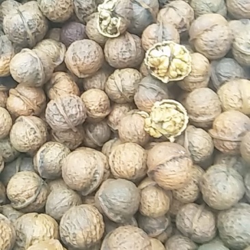 坚果干果