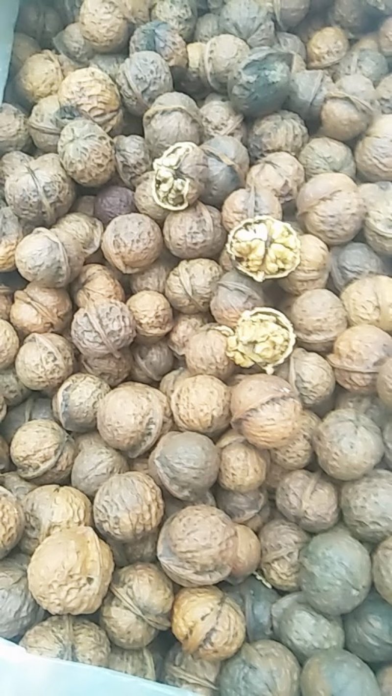 坚果干果