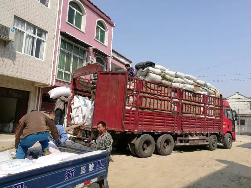 乌药，自然阳光凉晒风干无硫乌药产地直销