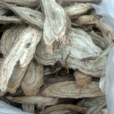 野生葛根，自家人挖的