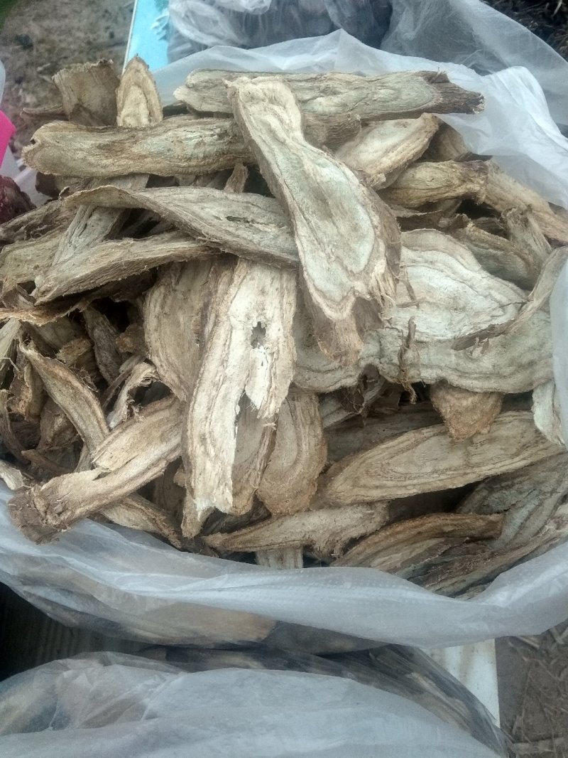 野生葛根，自家人挖的