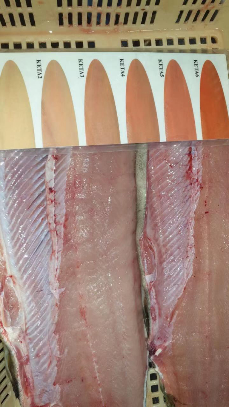俄罗斯进口原料马哈鱼参考规格参数见色号