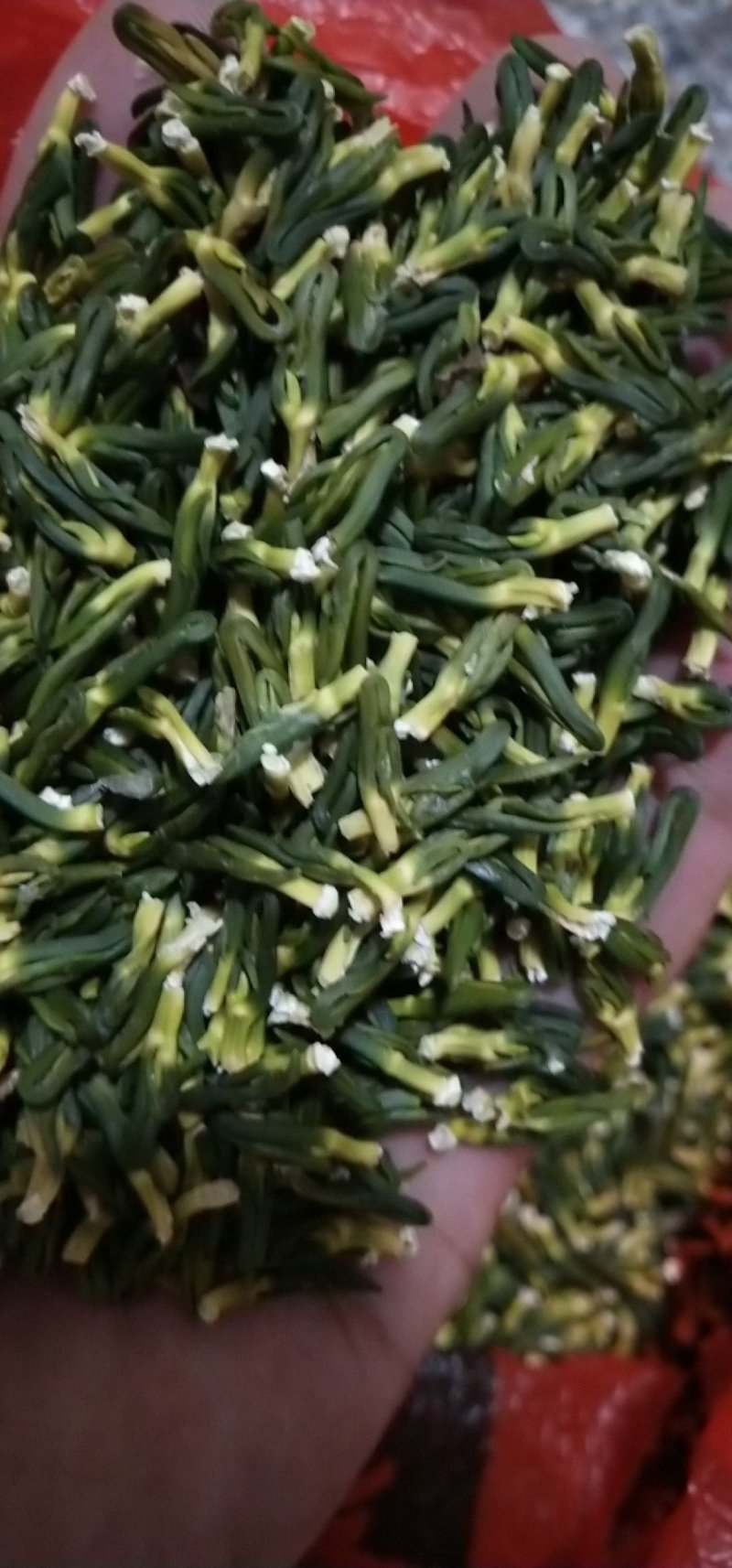 2025年新货，莲芯，一级莲芯，二级莲芯，三级莲芯