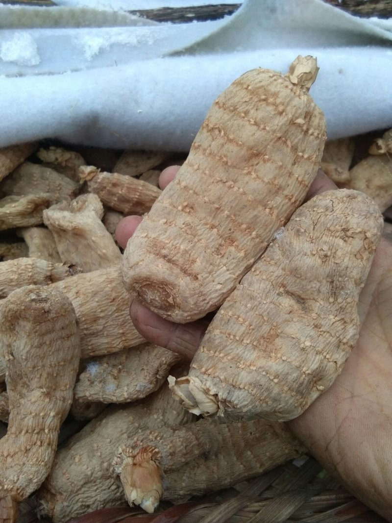 天麻，产地直供陕西仿野生无硫天麻，规格齐全质量有保证。