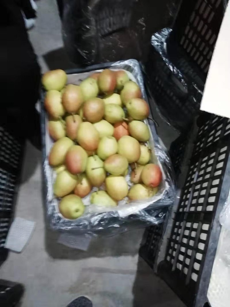 红香酥，香梨，新上市，大量有货，诚信代办