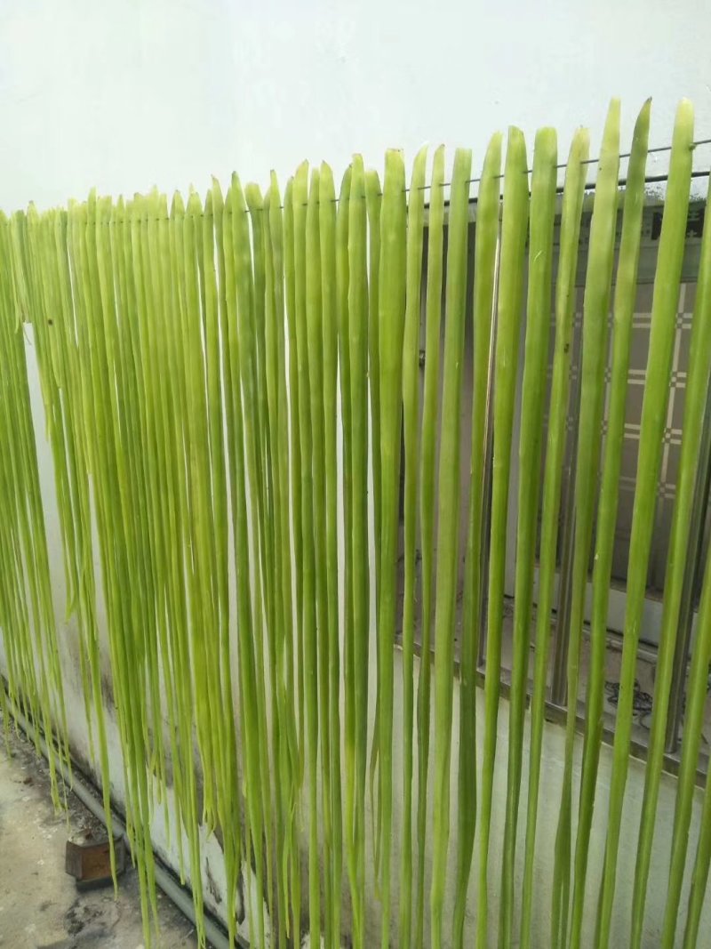 安徽贡菜云南贡菜苔菜一件10斤