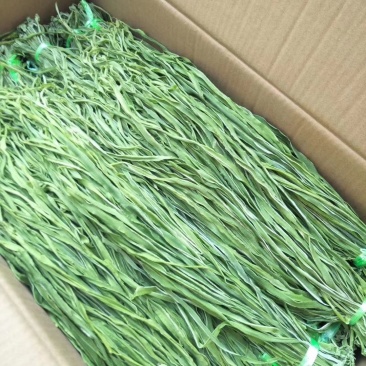 安徽贡菜云南贡菜苔菜一件10斤