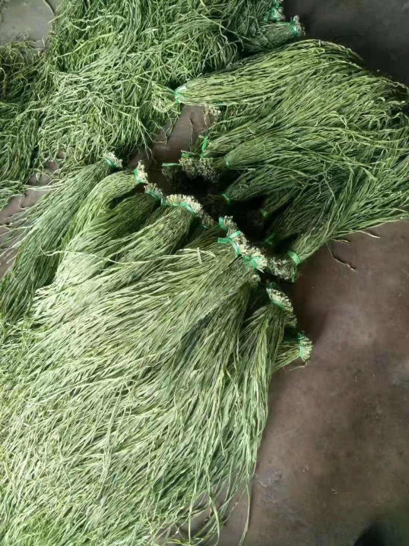 安徽贡菜云南贡菜苔菜一件10斤