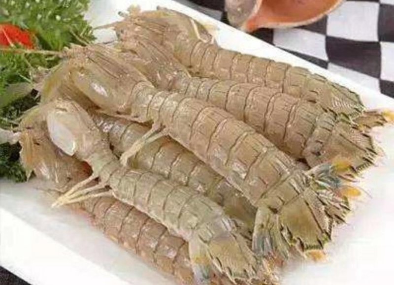 皮皮虾