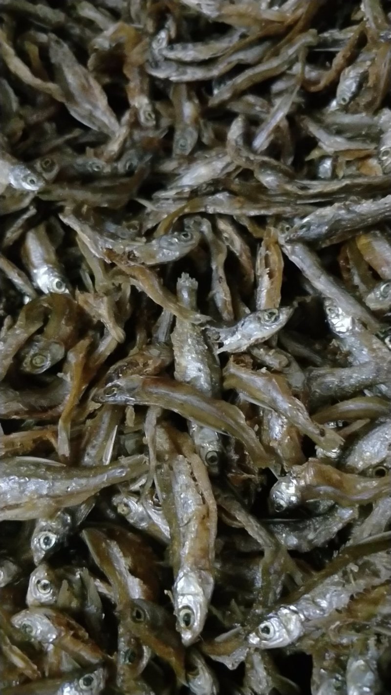 河源万绿湖河鱼仔鱼干