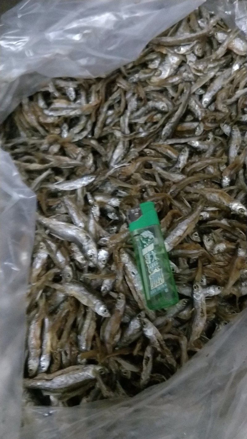 河源万绿湖河鱼仔鱼干