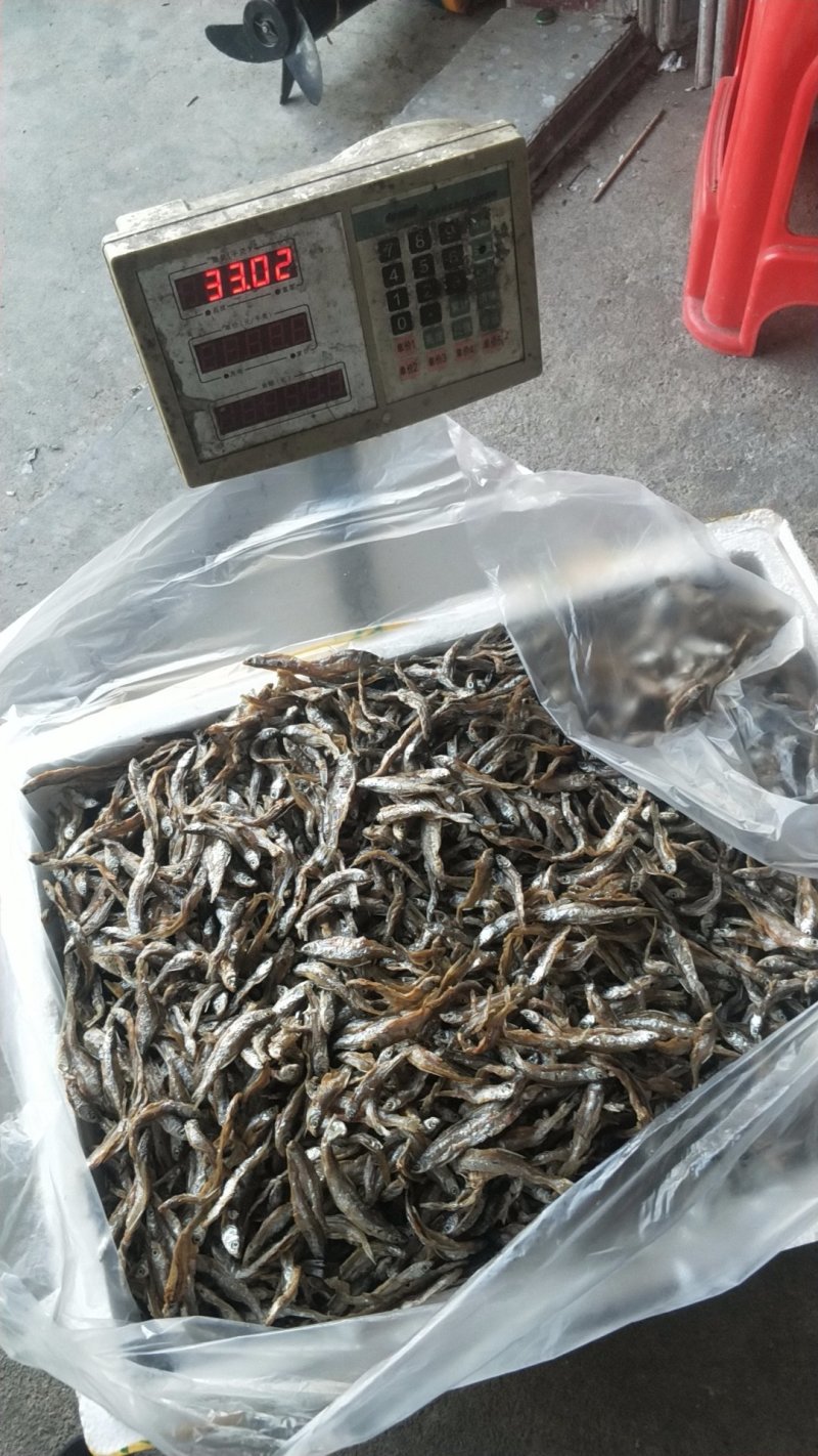 河源万绿湖河鱼仔鱼干