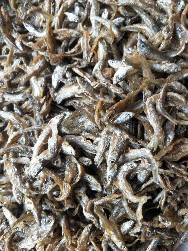 河源万绿湖河鱼仔鱼干