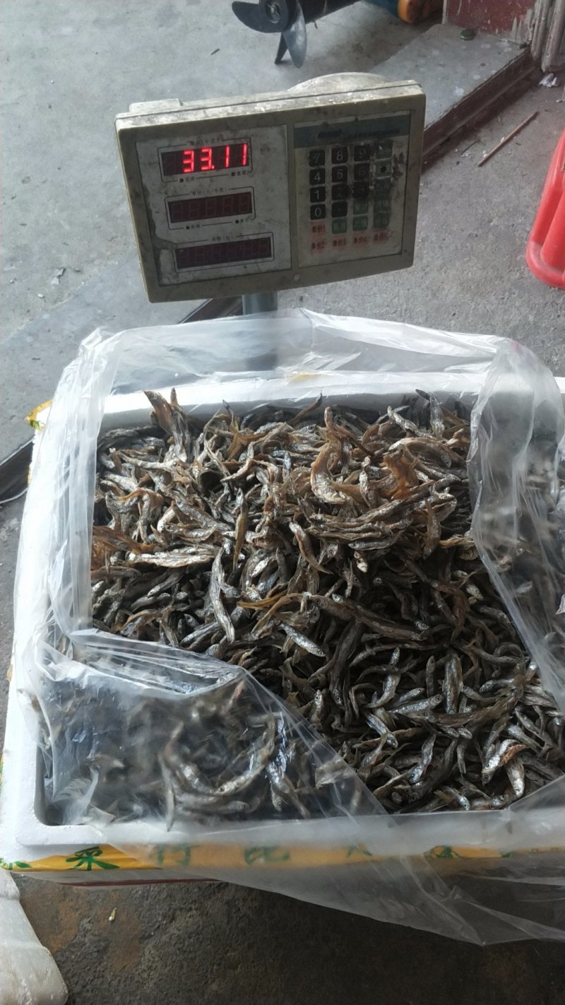 河源万绿湖河鱼仔鱼干