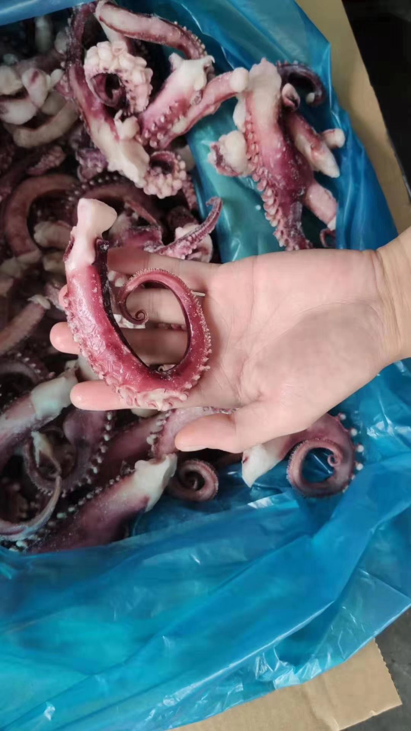 精品脆口章鱼须，鱿鱼须，章鱼须，品质保证，量大从优
