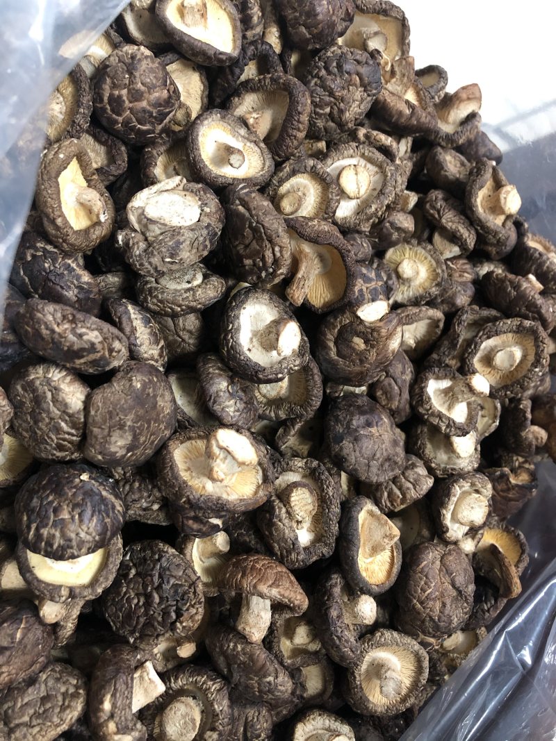 精品手选干货香菇3．0规格