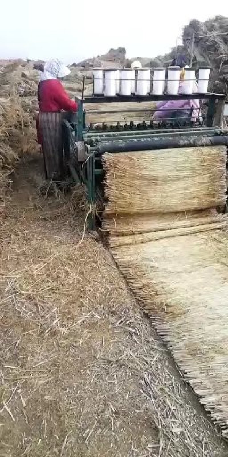 草坪保水草帘草绳草帘打包绳好绳，，各种规格，，产地直销