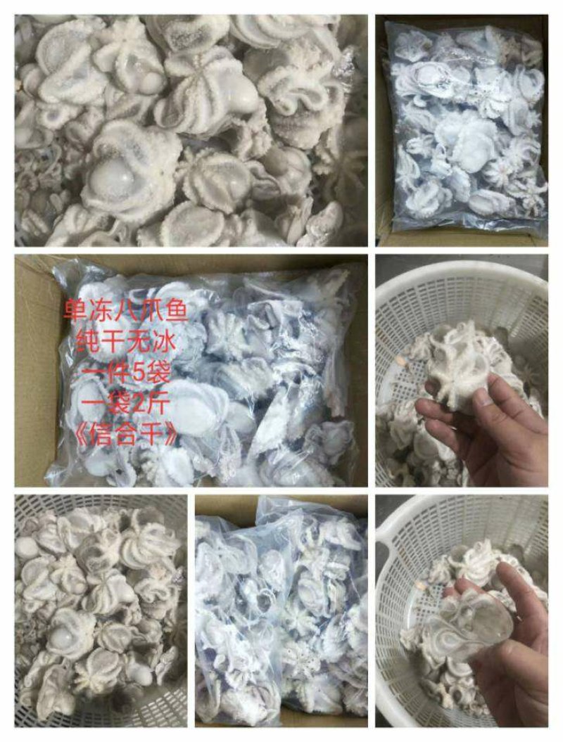单冻国产八爪鱼，一件10斤，一箱2斤一包。。原汁八爪