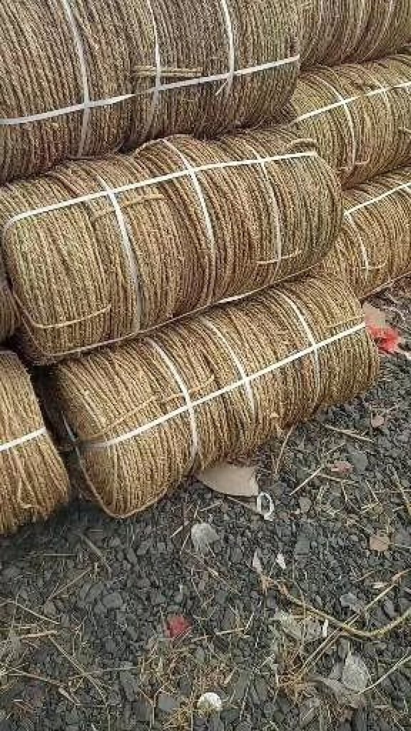 绿化草绳，产地直销草绳草帘打包绳好绳，，各种规格，，产