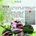 绿色食品:洋火姜
