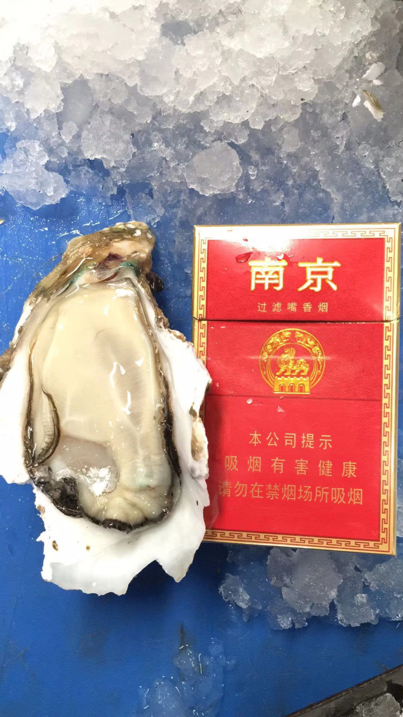 广东中蚝，3个/斤，珠海中蚝，产地直销，量大从优