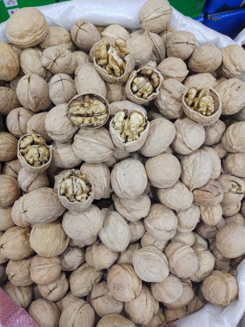 新疆核桃薄皮核桃大核桃和田阿克苏产地直销
