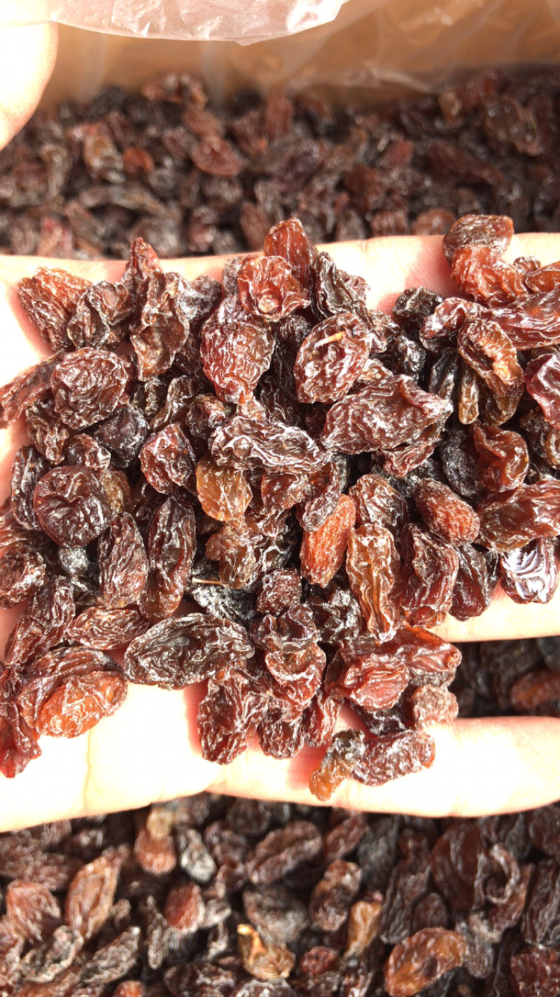 大颗粒红奶油葡萄干新疆特产吐鲁番