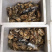 鲜活生蚝,家庭装,生蚝礼品装,深海生蚝,福建蚝量大从优