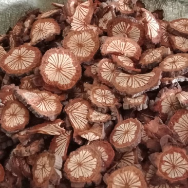 红藤，产区一手货源长年供应各种规格