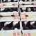 玉菇香瓜，甜瓜，中国甜瓜第一镇产地大量供应