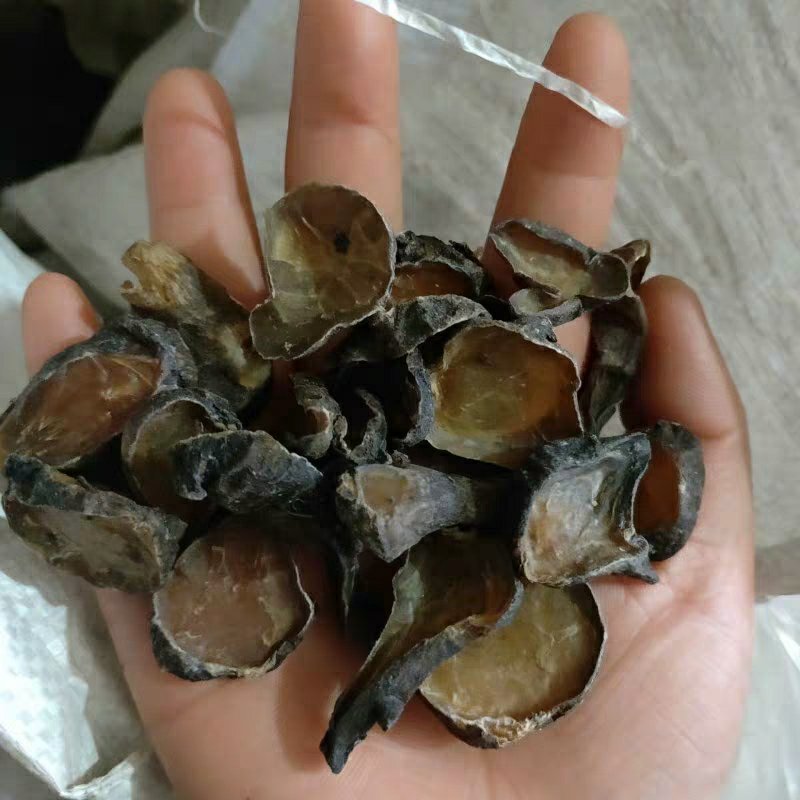 无硫清水原色炙四川江油克中药材精选黄顺片黑