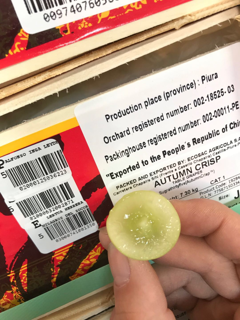 美国无籽青提提子类进口水果批发新鲜水果