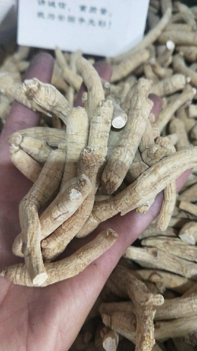 东北西洋参花旗参整枝可切片可打粉长支西洋参