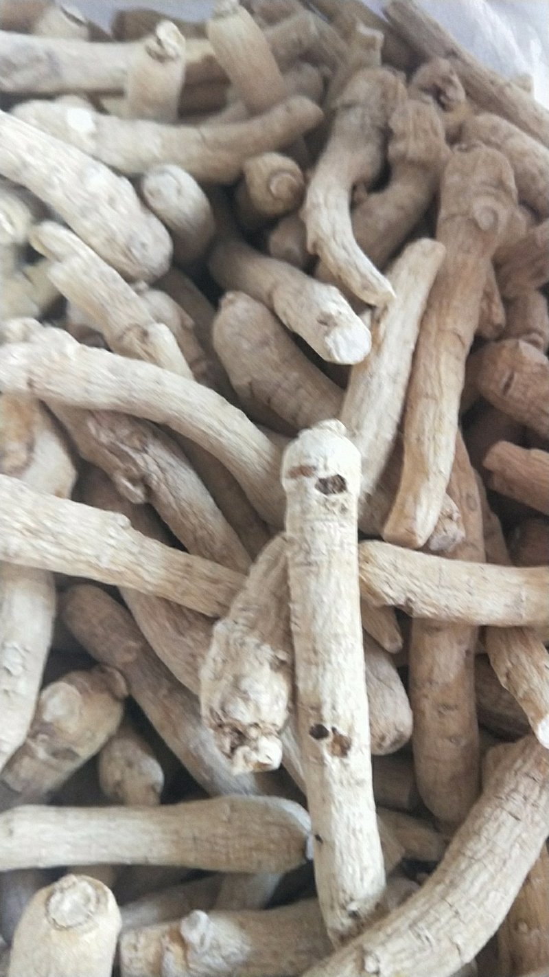 东北西洋参花旗参整枝可切片可打粉长支西洋参