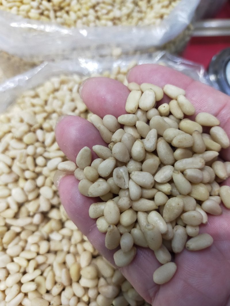 东北松仁～～榨油加工食品辅料专用，适合各大中小榨油厂使用