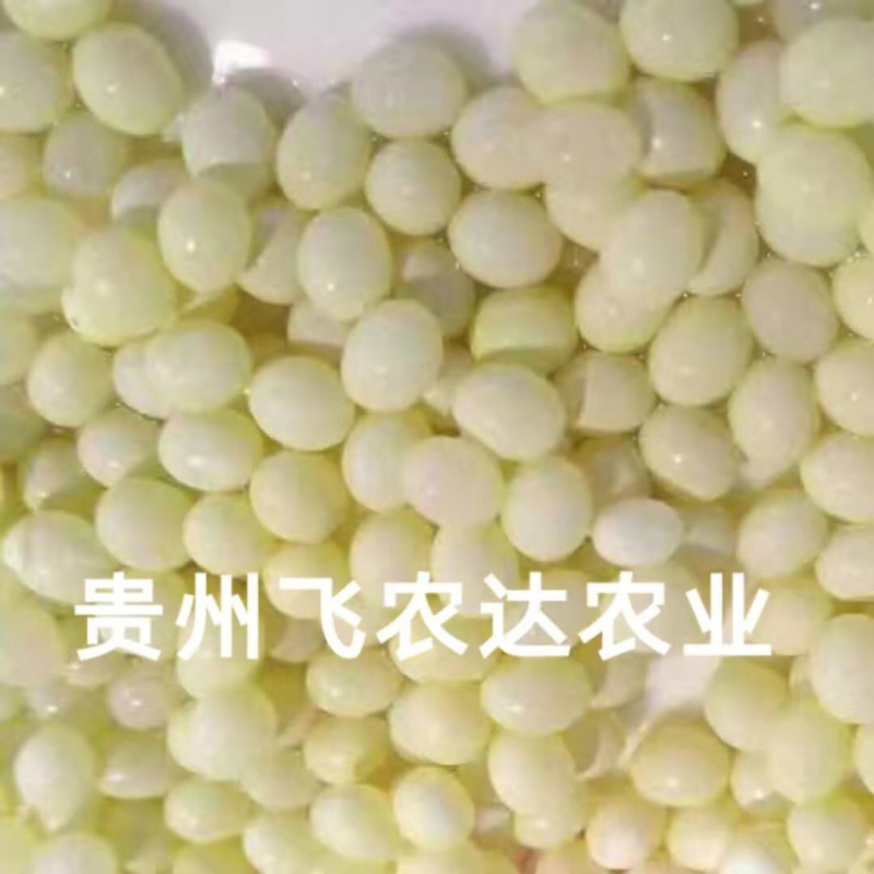 贵阳飞农10号蜗牛养殖基地
