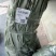 李苗黄金李黄金奈李苗市场畅销产品品种保证签订合同