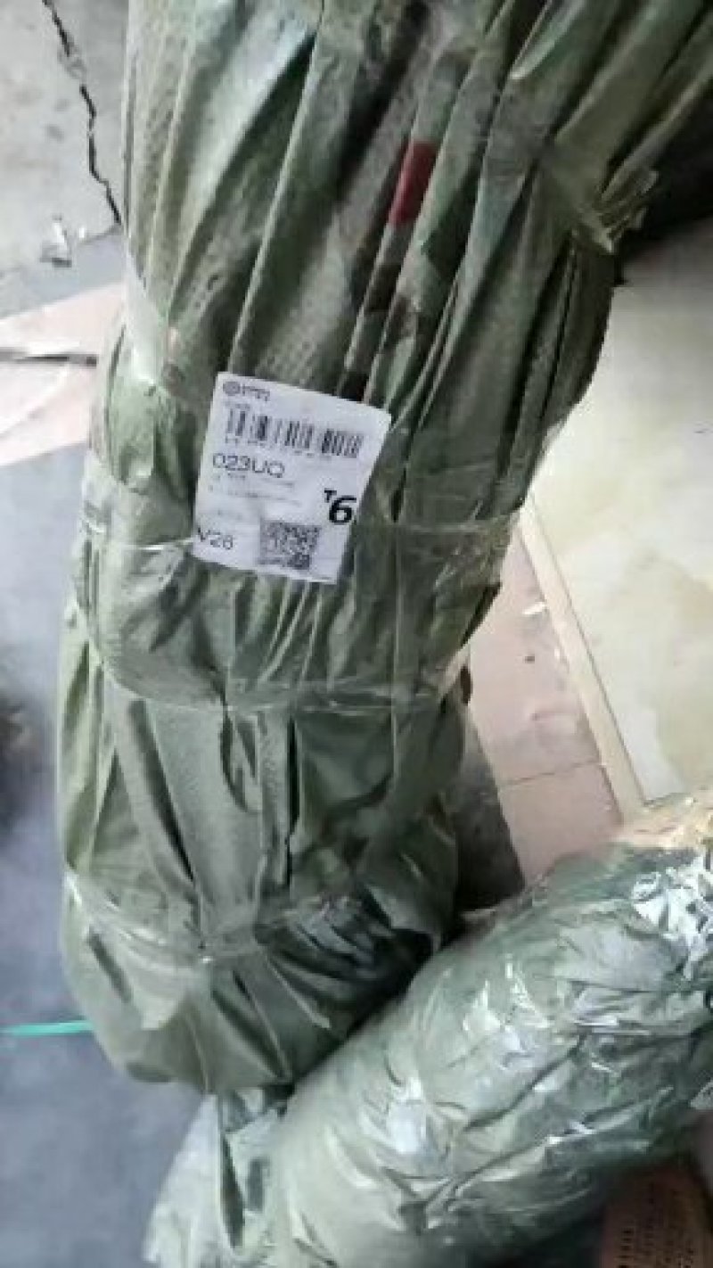 血香妃李商标品种脆甜爽口市场畅销售价高效益好