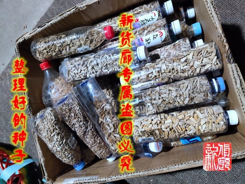 新货廊2020年度分享葫芦种子45种