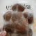 文贝～一袋一斤装，个大味美货量大